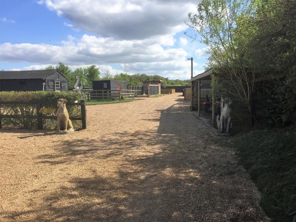 Willow Court Farm Studio East & Petting Farm, 8 Mins To Legoland & Windsor, 15 Mins To Lapland Uk Buitenkant foto