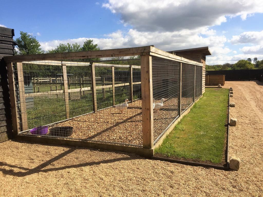 Willow Court Farm Studio East & Petting Farm, 8 Mins To Legoland & Windsor, 15 Mins To Lapland Uk Buitenkant foto