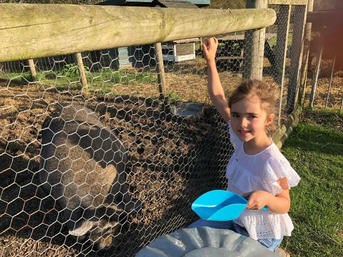Willow Court Farm Studio East & Petting Farm, 8 Mins To Legoland & Windsor, 15 Mins To Lapland Uk Buitenkant foto